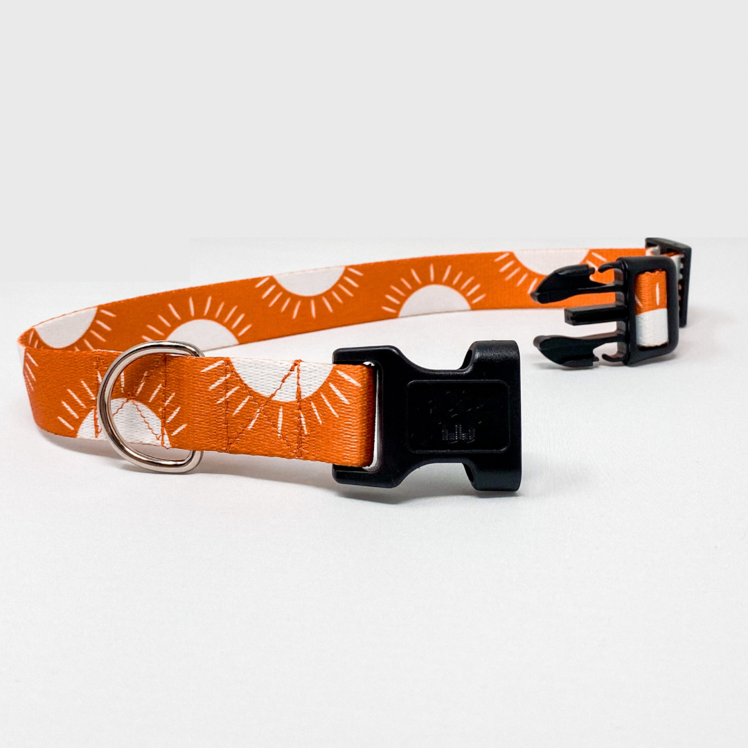 Sunshine Recycled Dog Collar