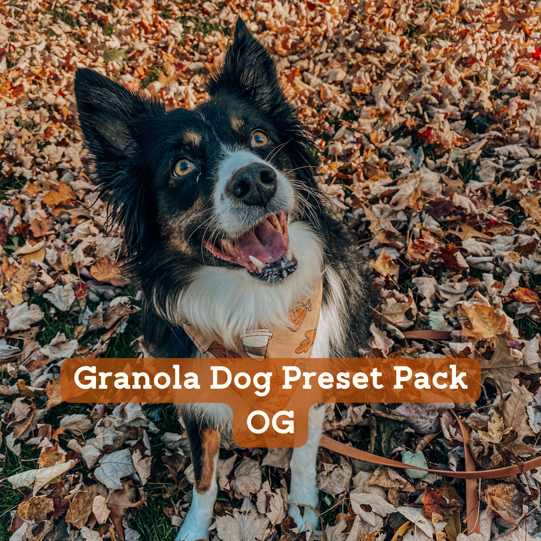 Granola Dog Preset Pack