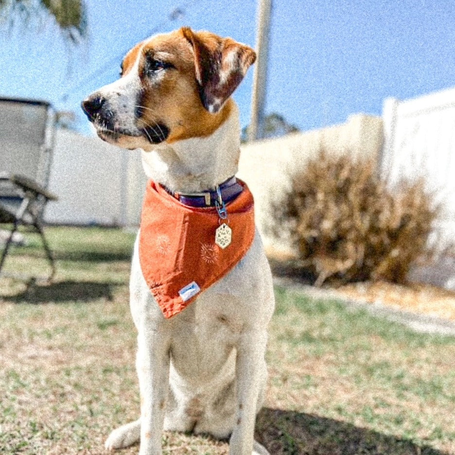 Orange desert sun boho tie dog bandana