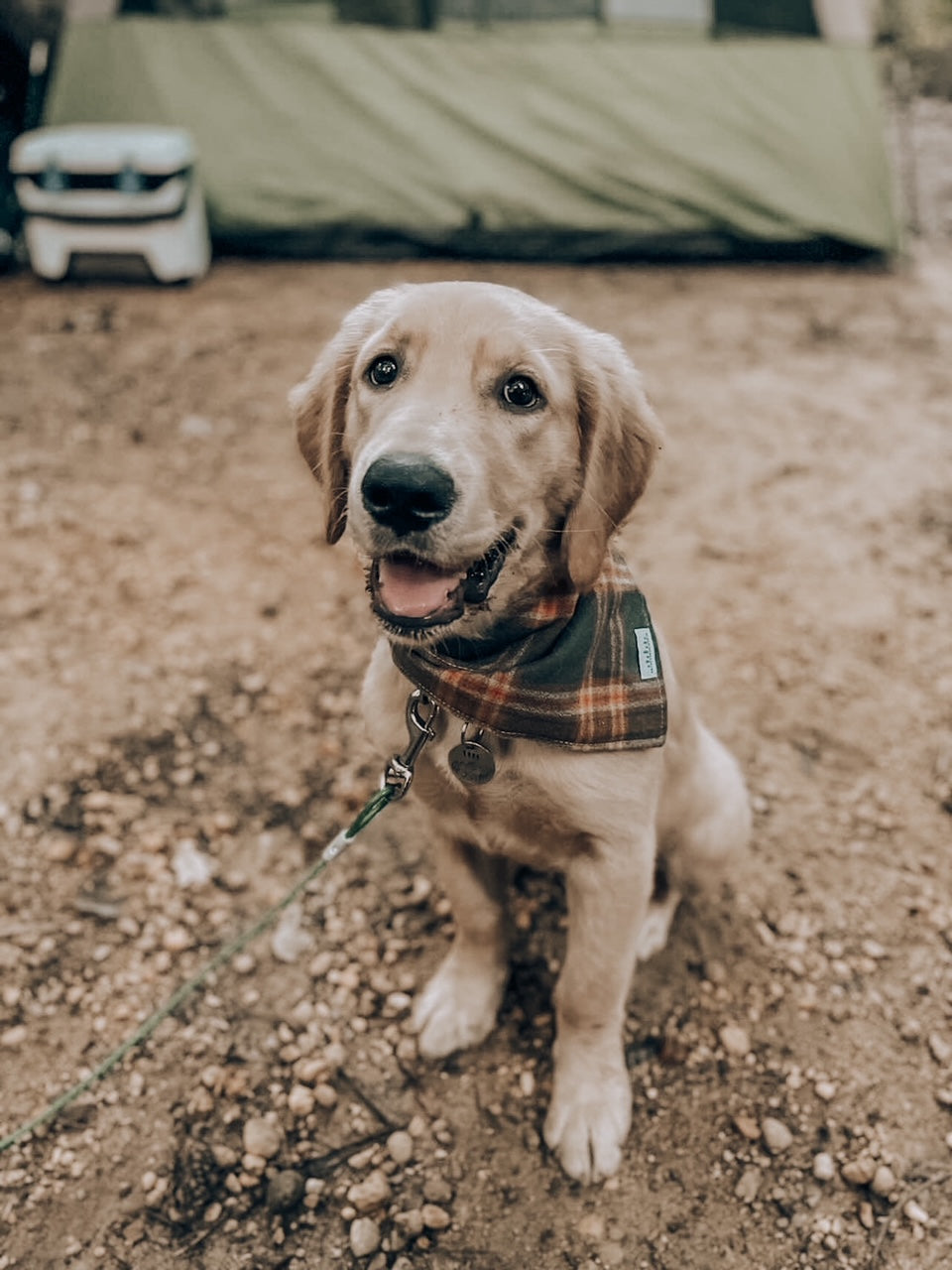 Camping sales dog bandana