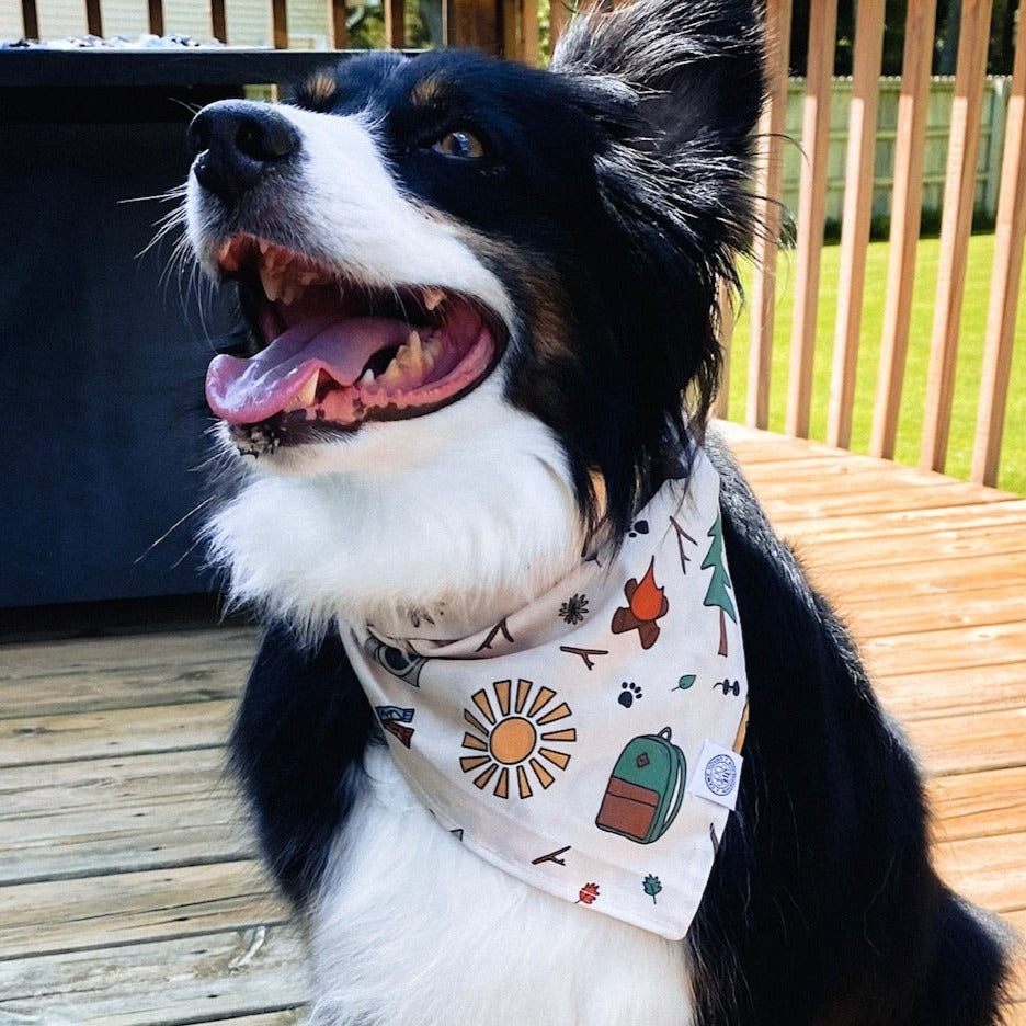 Hiking camping trail adventure print tie dog bandana