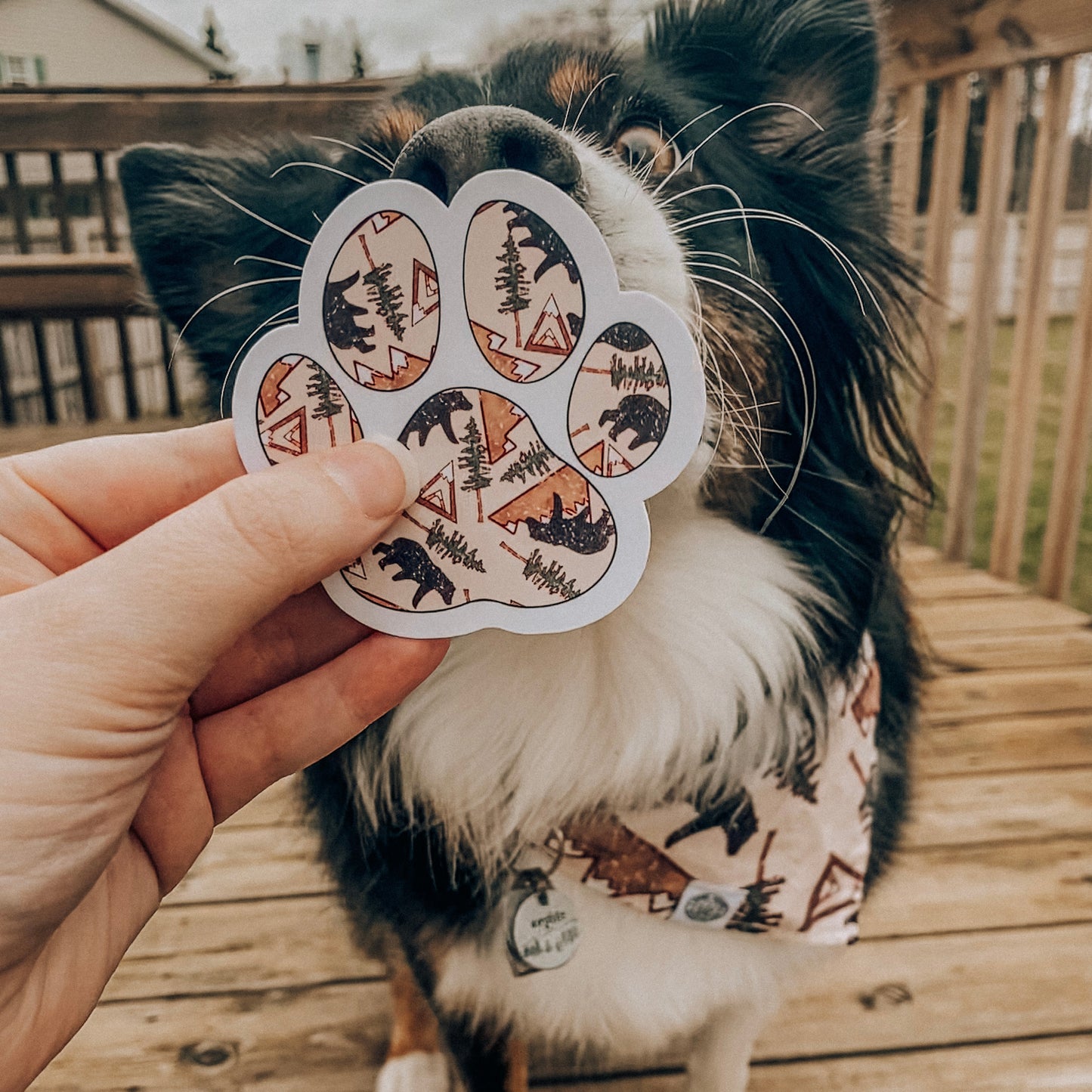 Big Bear Paw Sticker