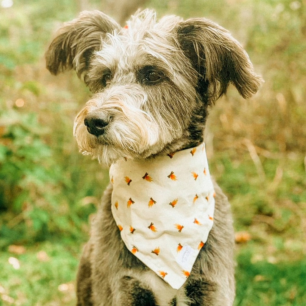 Campfire patterned cotton tie on dog bandana