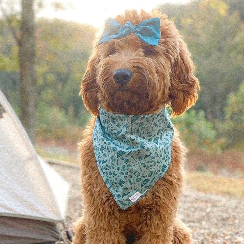 Sage green camping patterned dog bandana