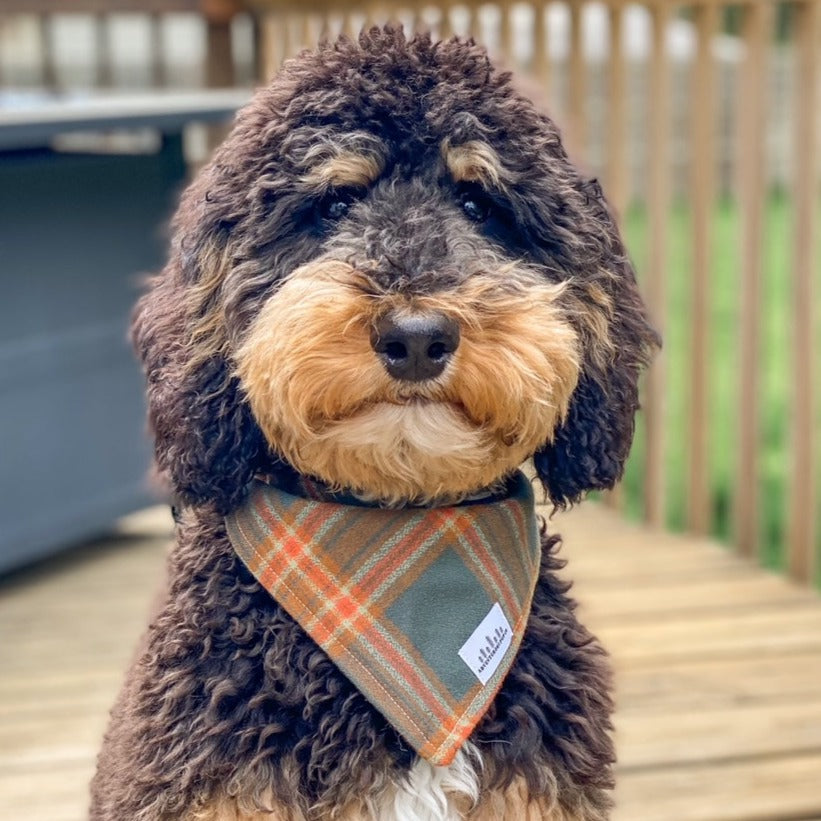 Green and orange plaid flannel tie dog bandana